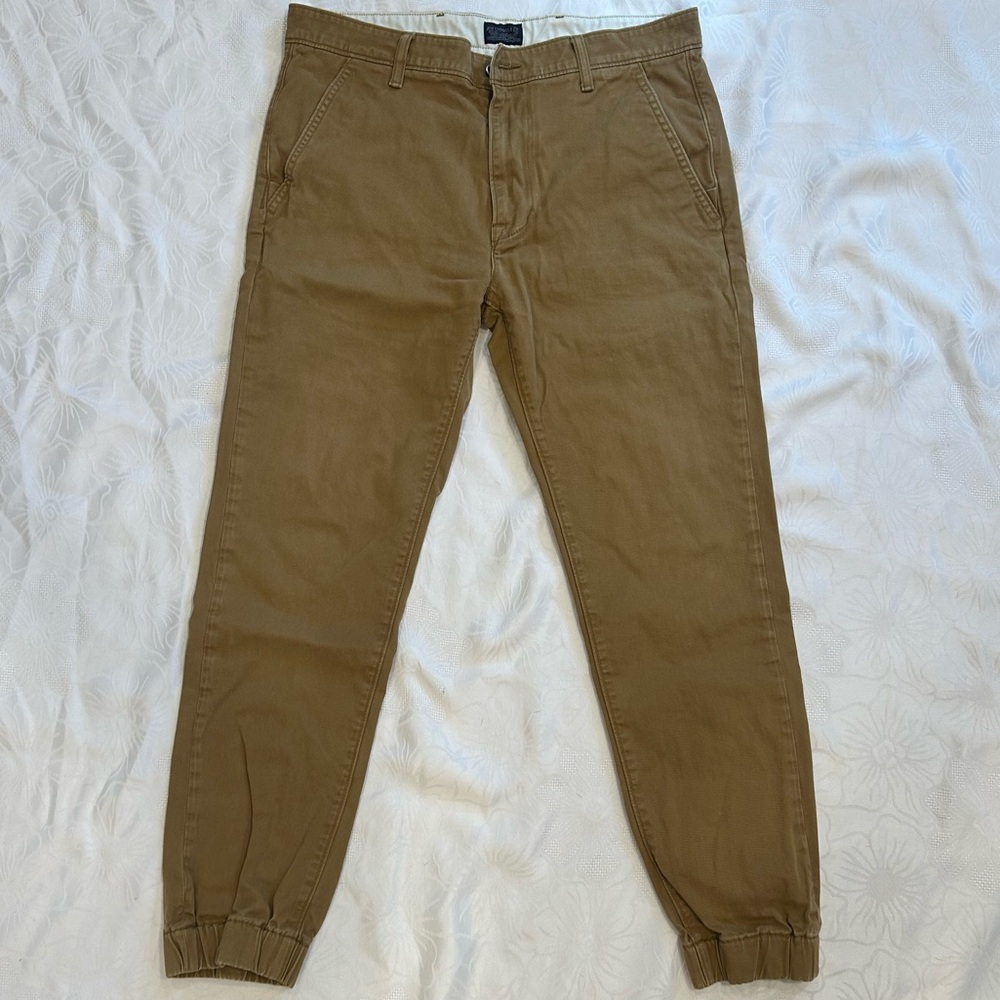 Levi's Men's tan jogger Pants